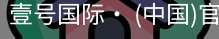 壹号国际